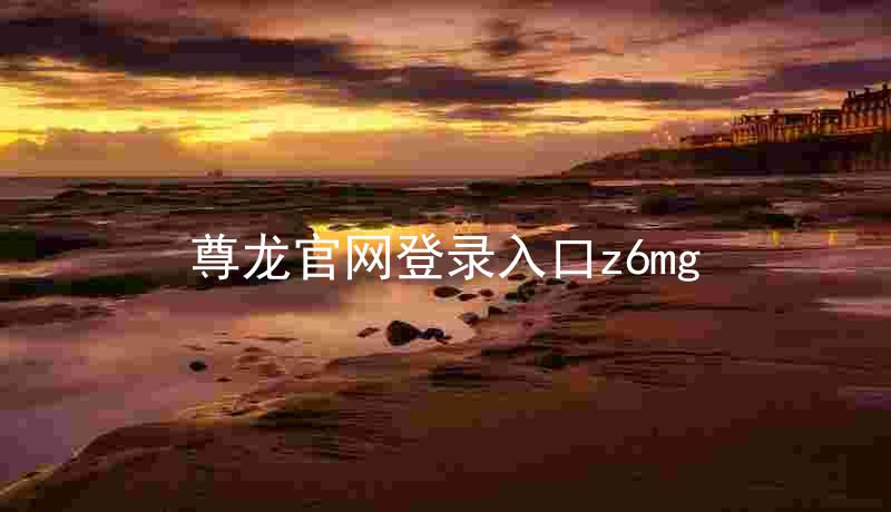 尊龙官网登录入口z6mg