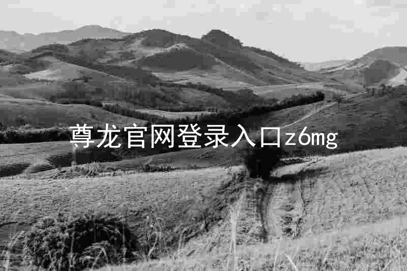 尊龙官网登录入口z6mg