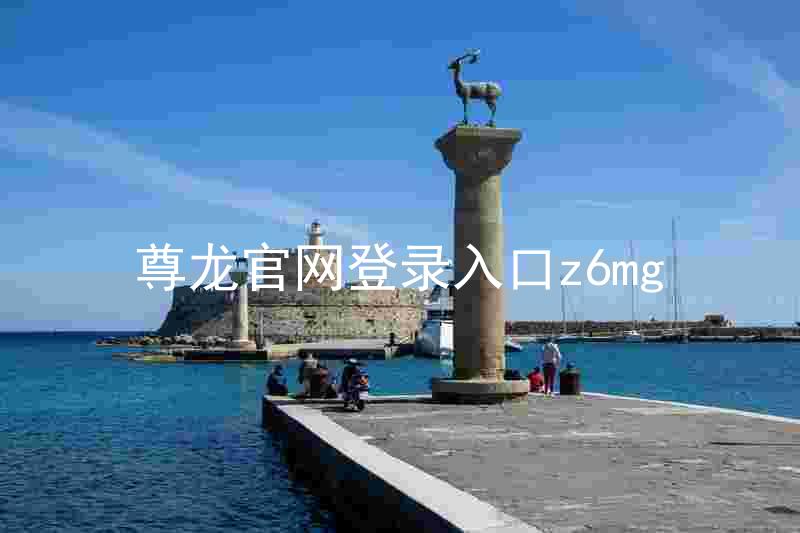 尊龙官网登录入口z6mg