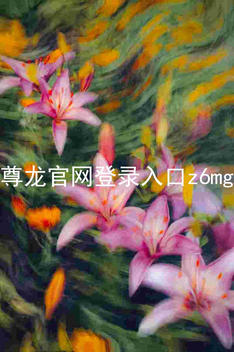 尊龙官网登录入口z6mg