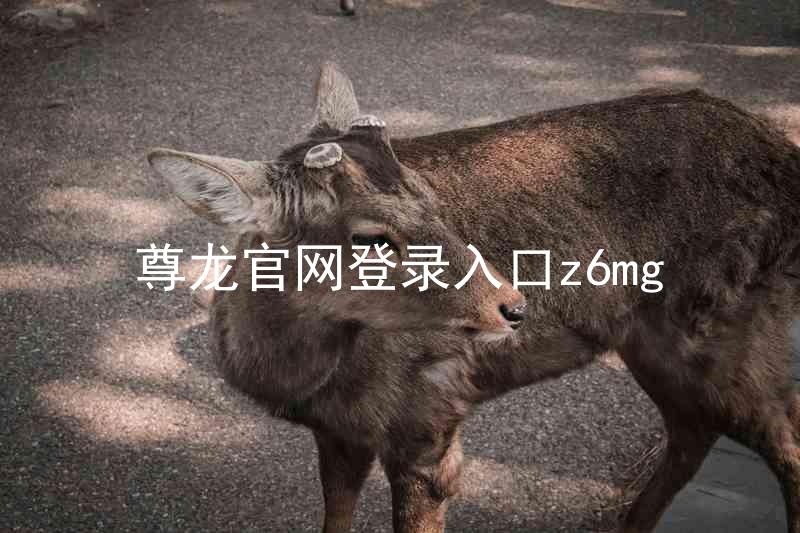 尊龙官网登录入口z6mg