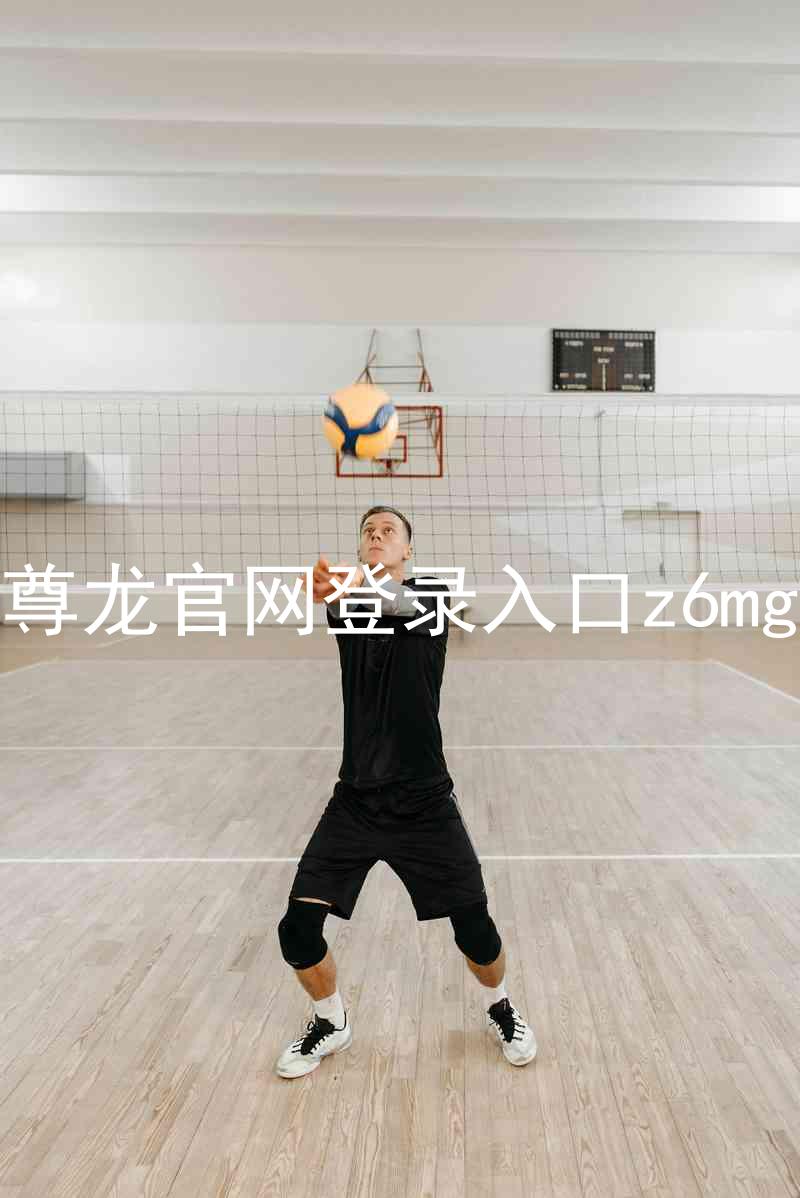 尊龙官网登录入口z6mg