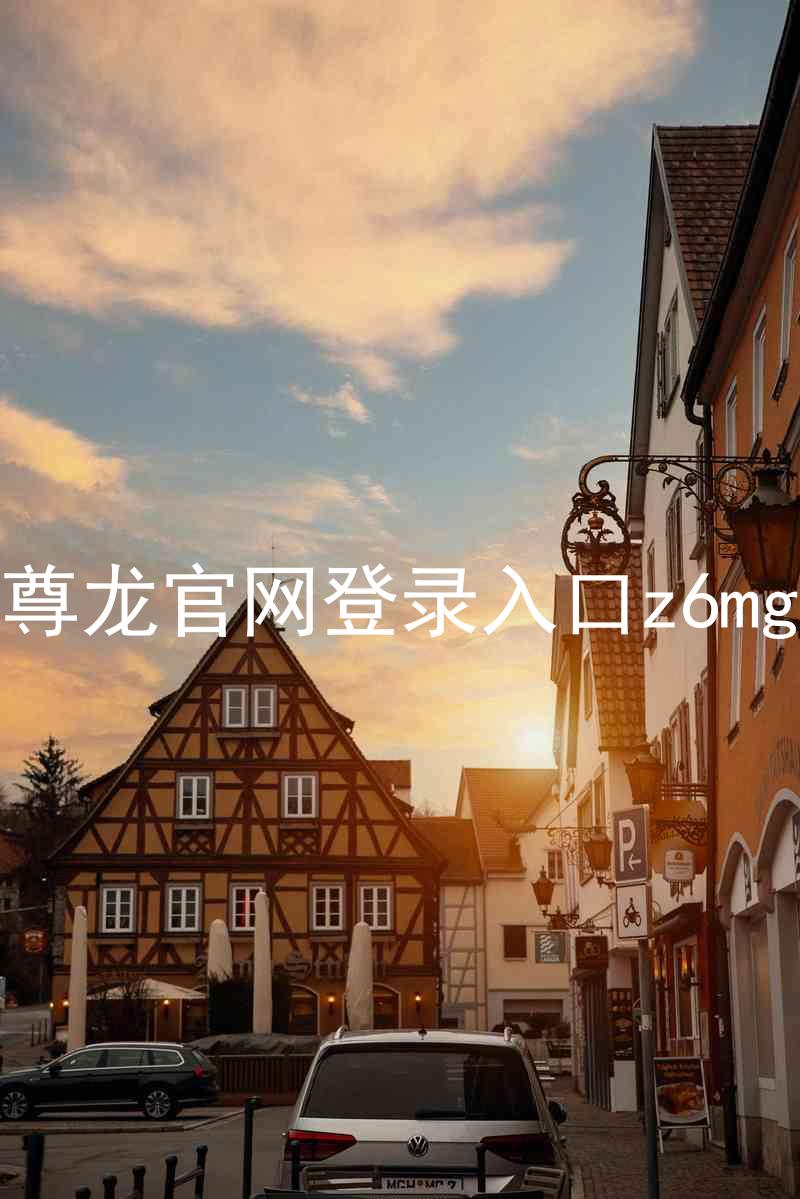 尊龙官网登录入口z6mg