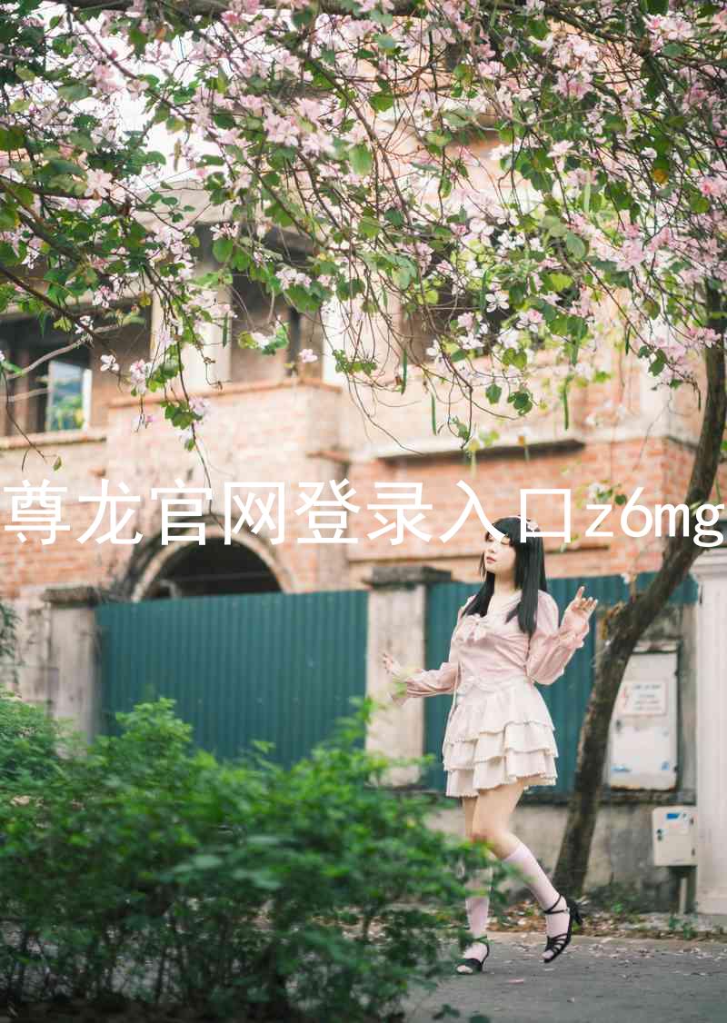 尊龙官网登录入口z6mg