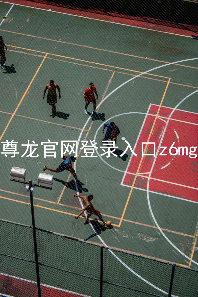 尊龙官网登录入口z6mg